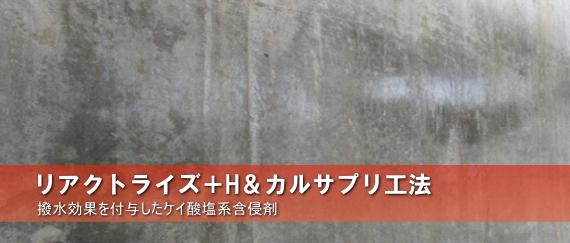 ���A�N�g���C�Y�{H���J���T�v���H�@